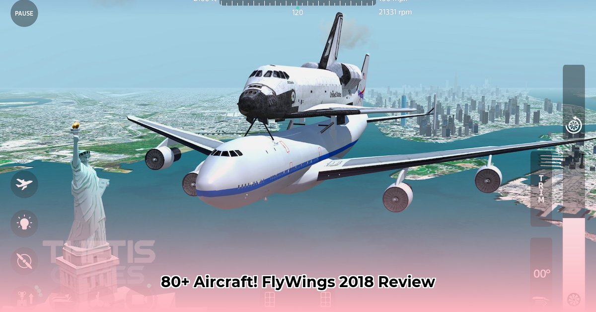 fly-wings-2018
